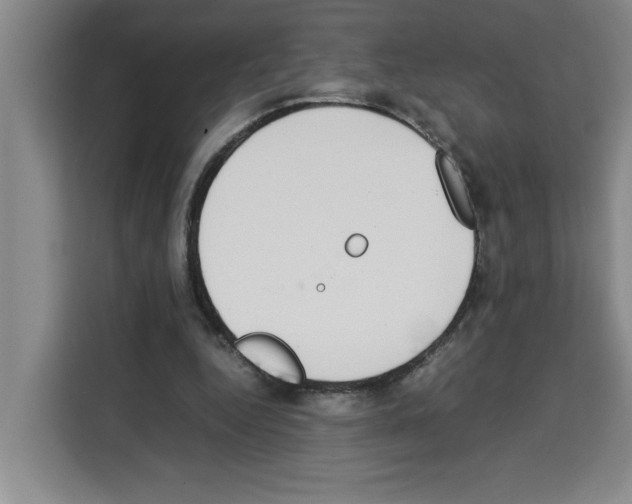 X0000113260344200910221043