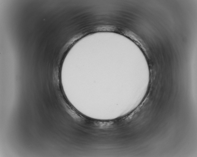 X0000113260345200910221043