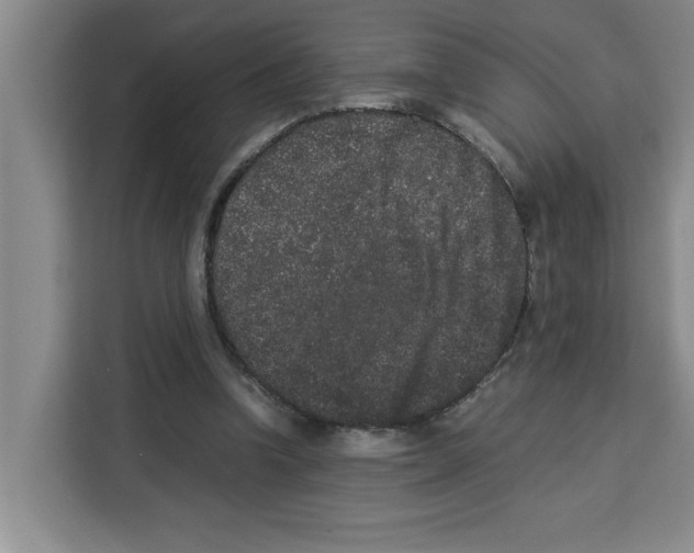 X0000113260346200910221043