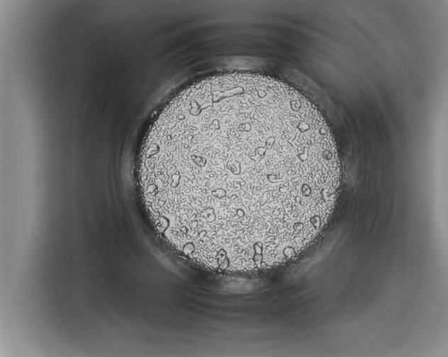 X0000113260347200910221043