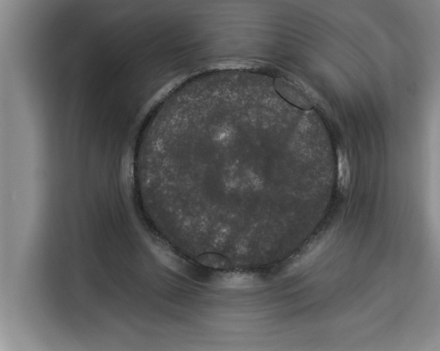 X0000113260348200910221043