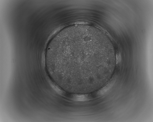 X0000113260349200910221043