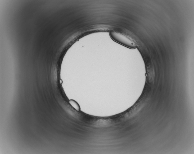 X0000113260350200910221043