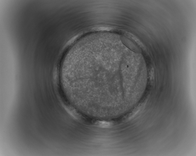 X0000113260352200910221043