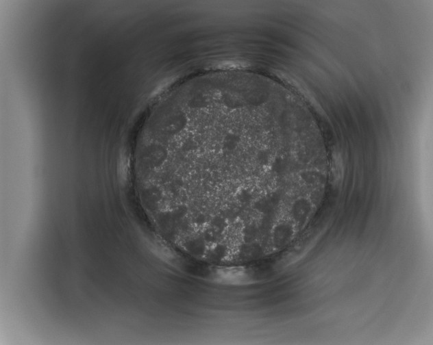 X0000113260355200910221044