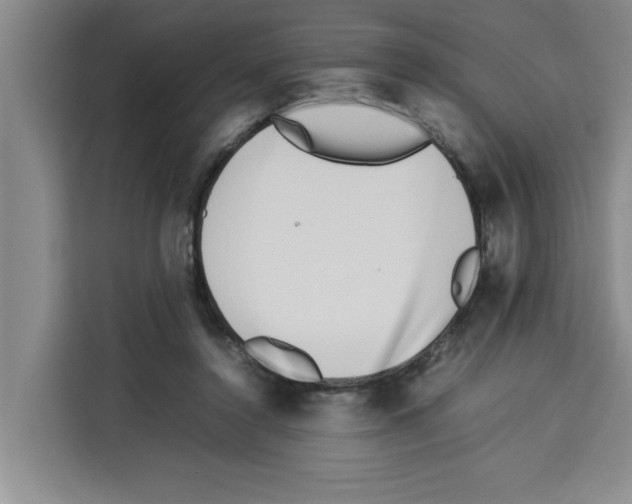 X0000113260356200910221044