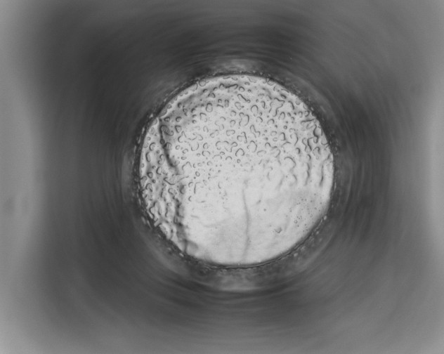 X0000113260359200910221044