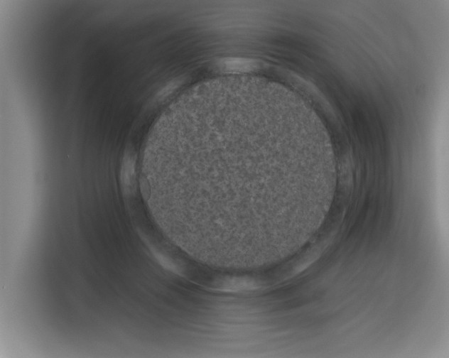 X0000113260360200910221044