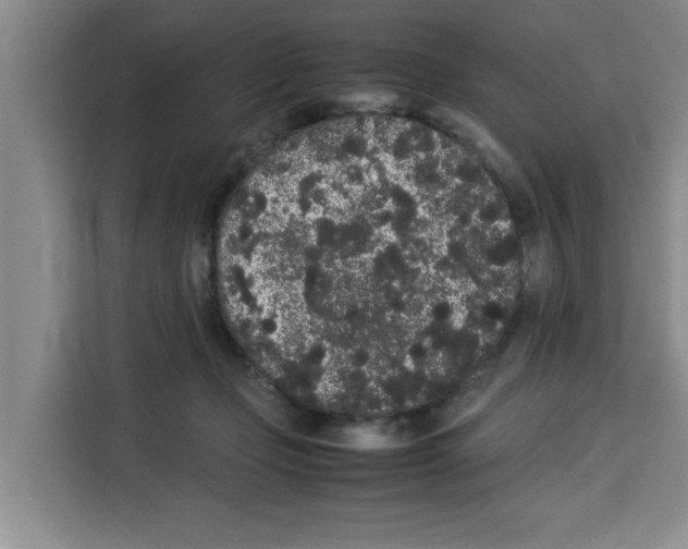 X0000113260365200910221044