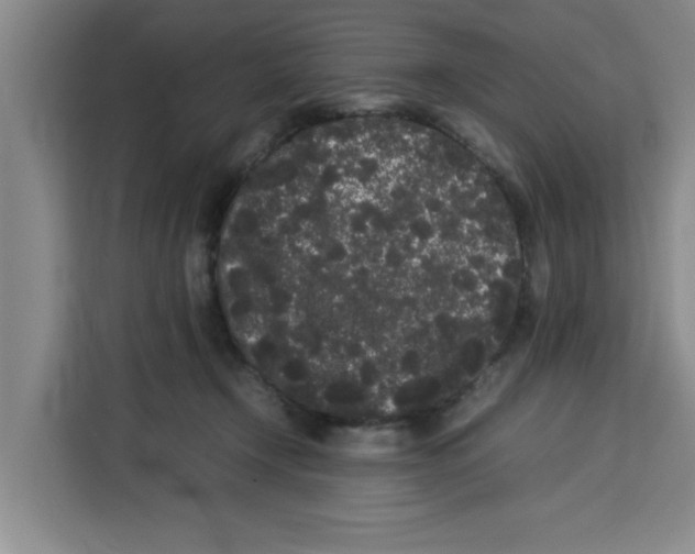 X0000113260366200910221044