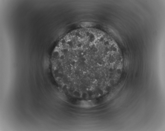 X0000113260367200910221044
