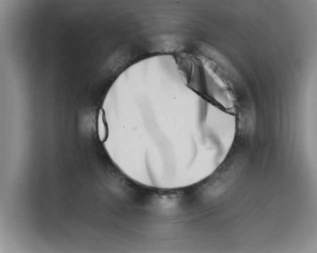 X0000113260368200910221044