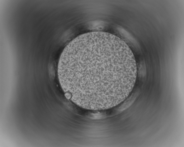 X0000113260370200910221044