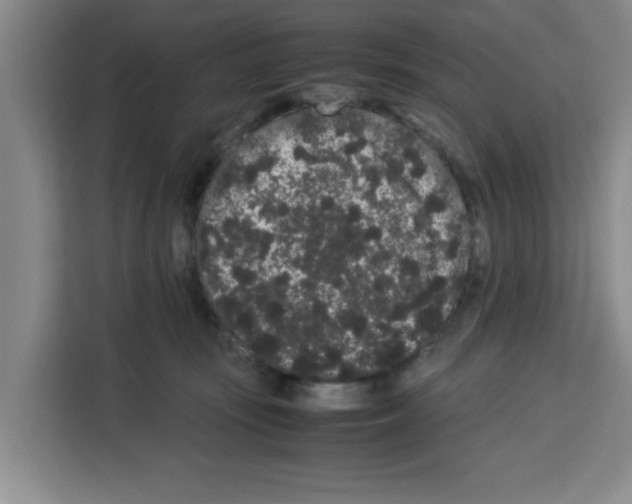 X0000113260371200910221044