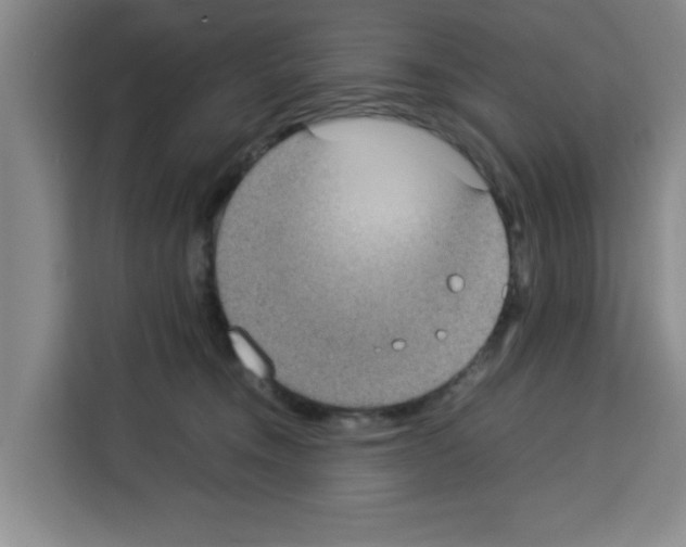 X0000113260372200910221044