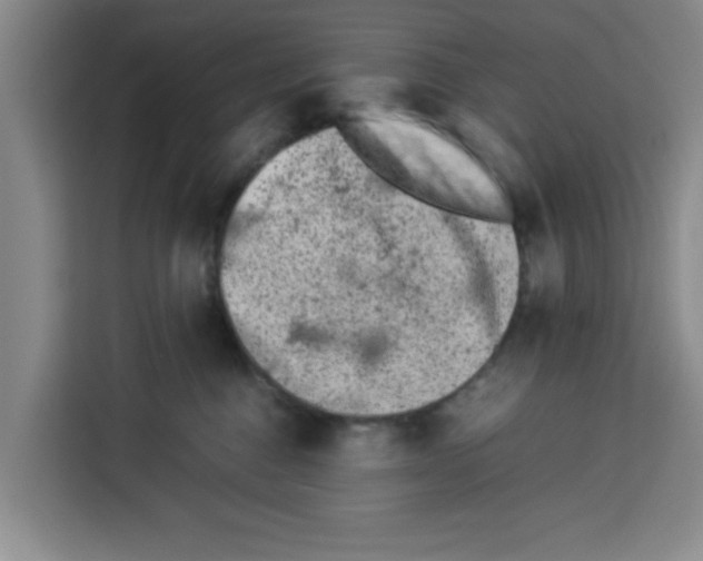 X0000113260376200910221044