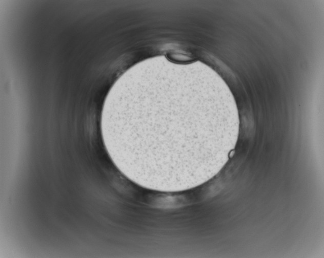 X0000113260379200910221044
