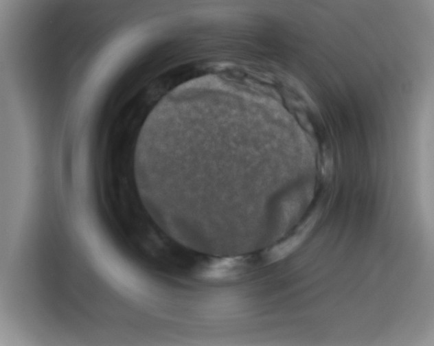 X0000113260382200910221044