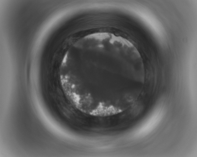 X0000113260383200910221044