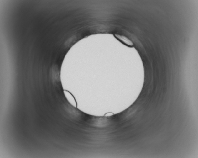 X0000113260384200910221044