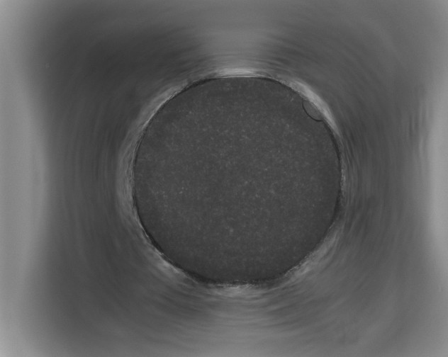 X0000113260385200910221043