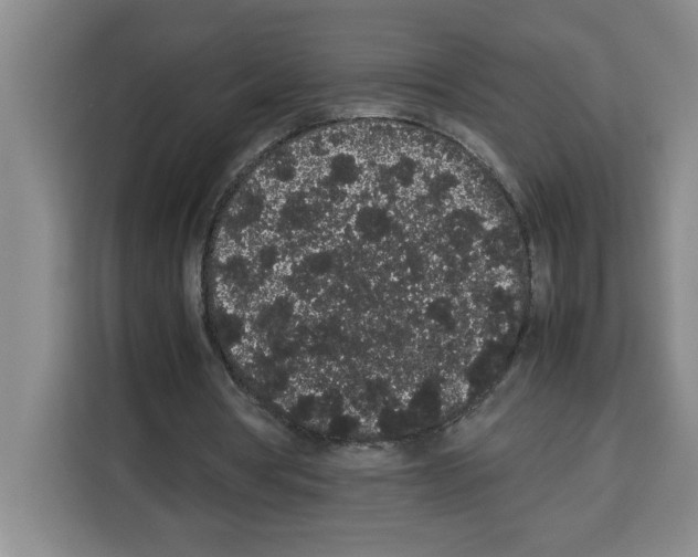 X0000113260386200910221043