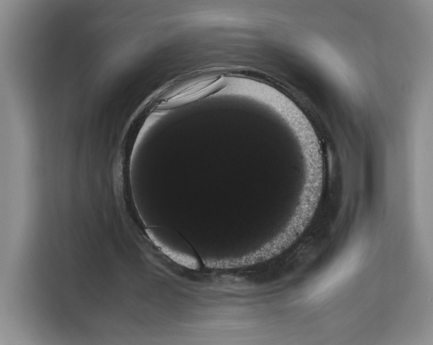 X0000113260387200910221043