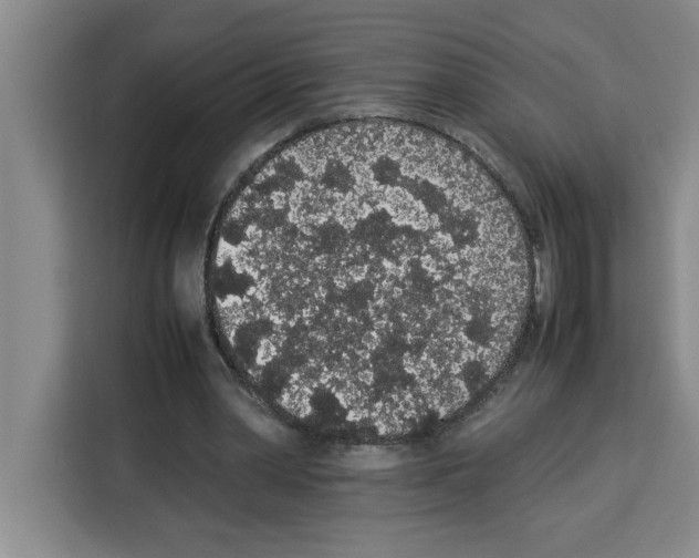 X0000113260390200910221043