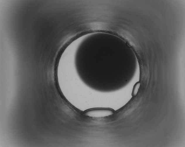 X0000113260391200910221043