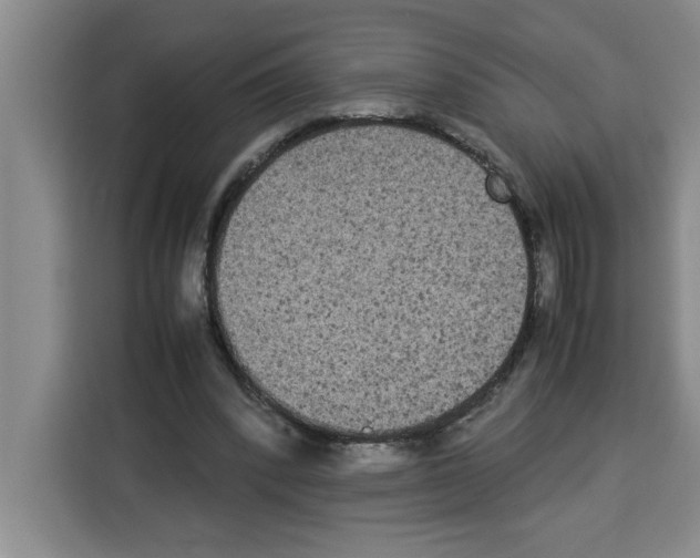 X0000113260392200910221043