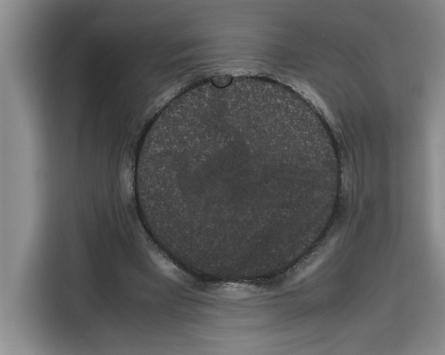 X0000113260393200910221043