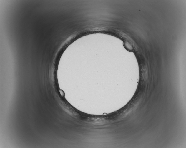 X0000113260395200910221043