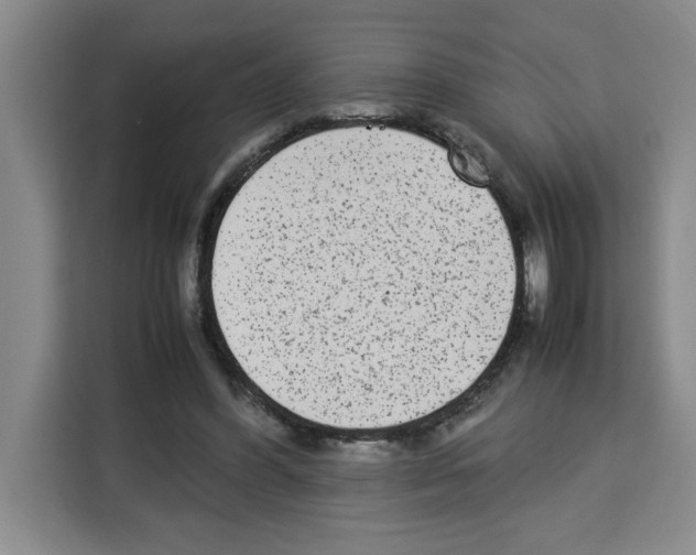 X0000113260396200910221043