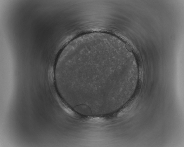 X0000113260397200910221043