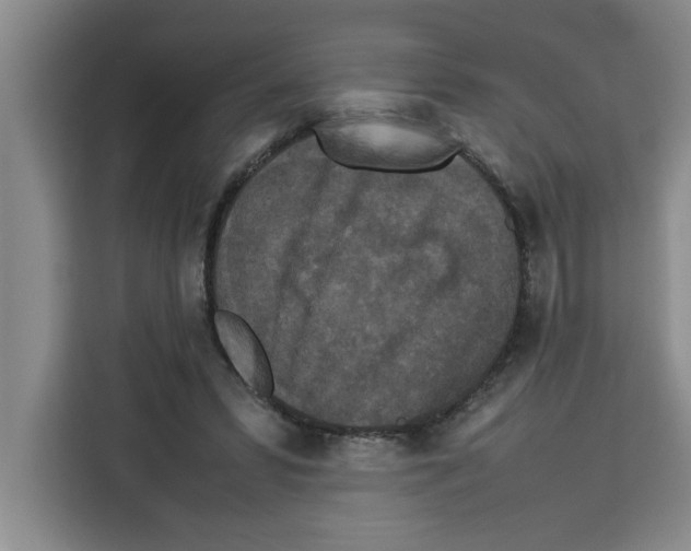 X0000113260399200910221043