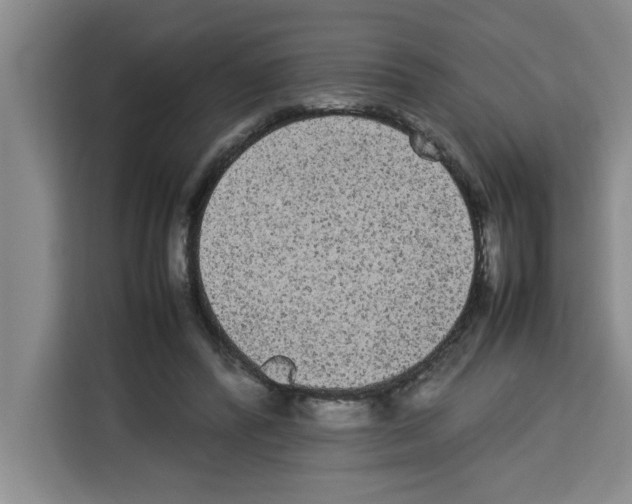 X0000113260400200910221043