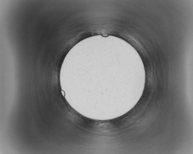 X0000113260401200910221043