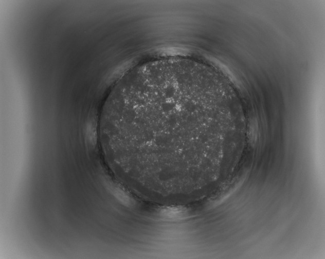X0000113260402200910221043