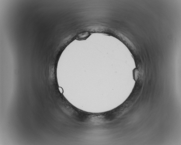 X0000113260403200910221043