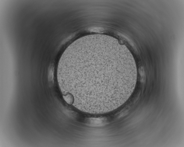 X0000113260404200910221043