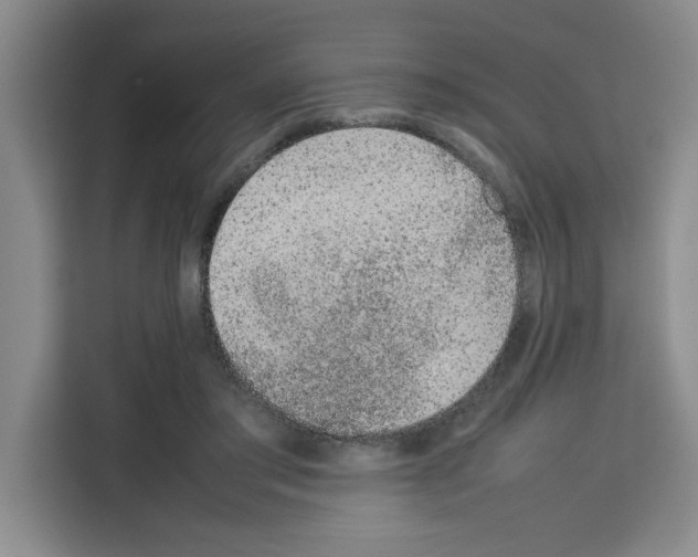 X0000113260405200910221043