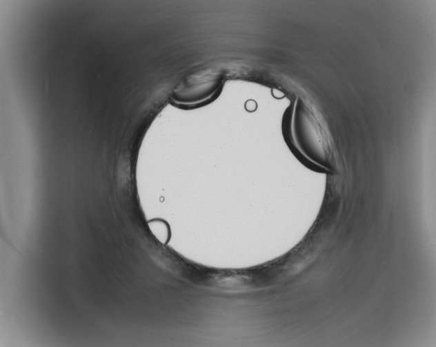 X0000113260407200910221043