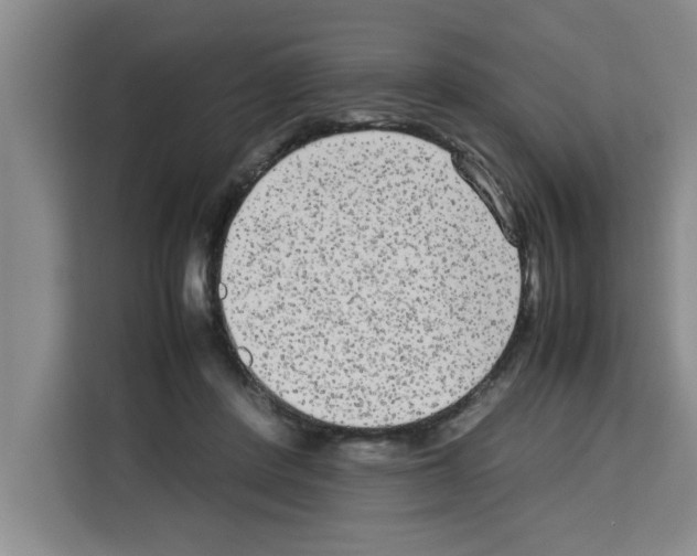 X0000113260408200910221043