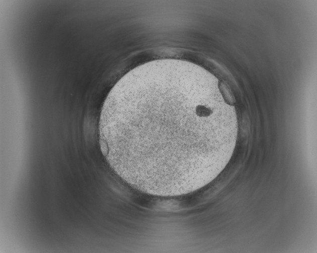 X0000113260409200910221043