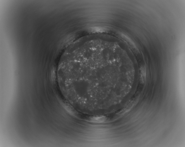 X0000113260410200910221043