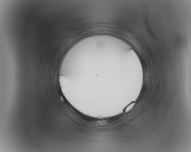 X0000113260411200910221043