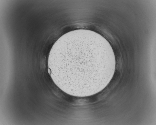 X0000113260413200910221043