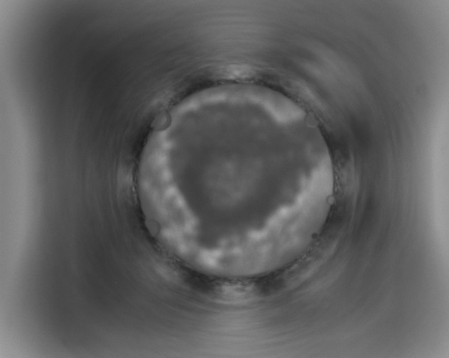 X0000113260415200910221043