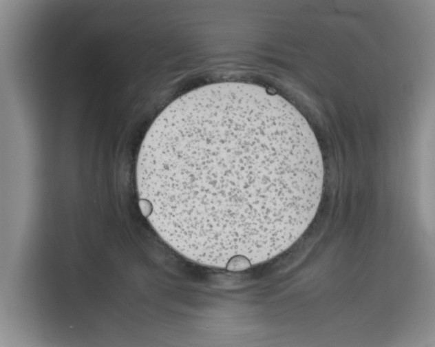X0000113260417200910221043