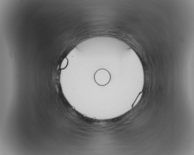 X0000113260419200910221043